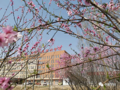 中康职业学院