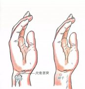 中康职业学院