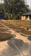 中康职业学院