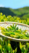 中康职业学院