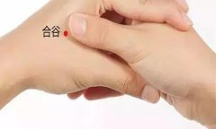 中康职业学院