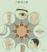 中康职业学院