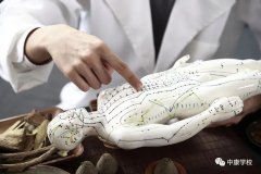 中康职业学院