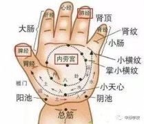 中康职业学院