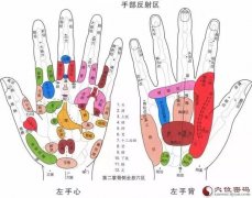 中康职业学院