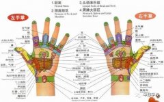 中康职业学院