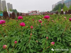 中康职业学院