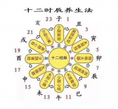 中康职业学院